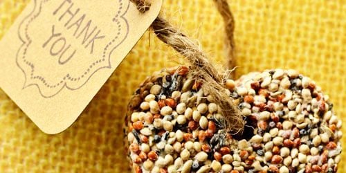 Birdseed Wedding or Party Favors - DIY Craft Idea