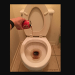pouring coke into a toilet to clean it