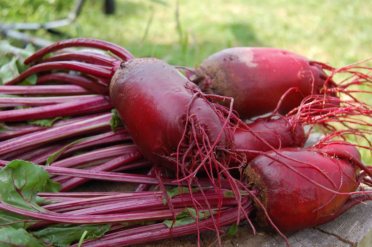 24 Brain-Boosting Foods to Sharpen Memory and Supercharge Focus - Cha ...