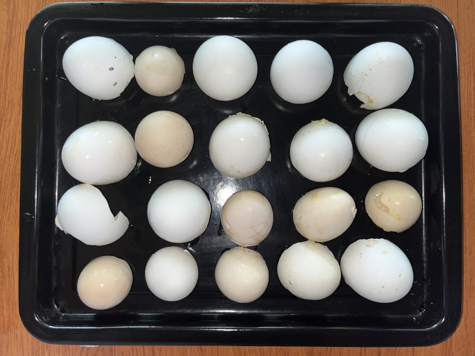 DIY Fertilizer: How to Use Eggshells for Your Garden - Cha Ching Queen